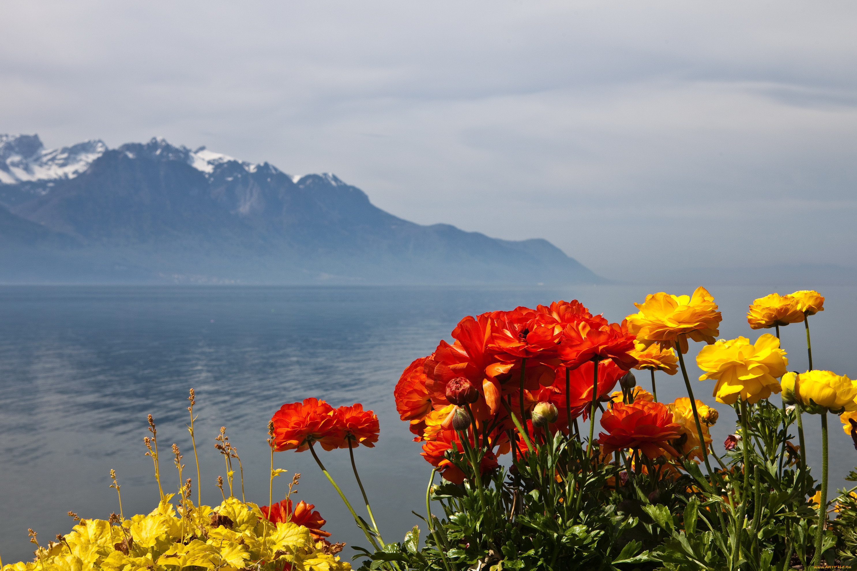 montreux, switzerland, , , , , 